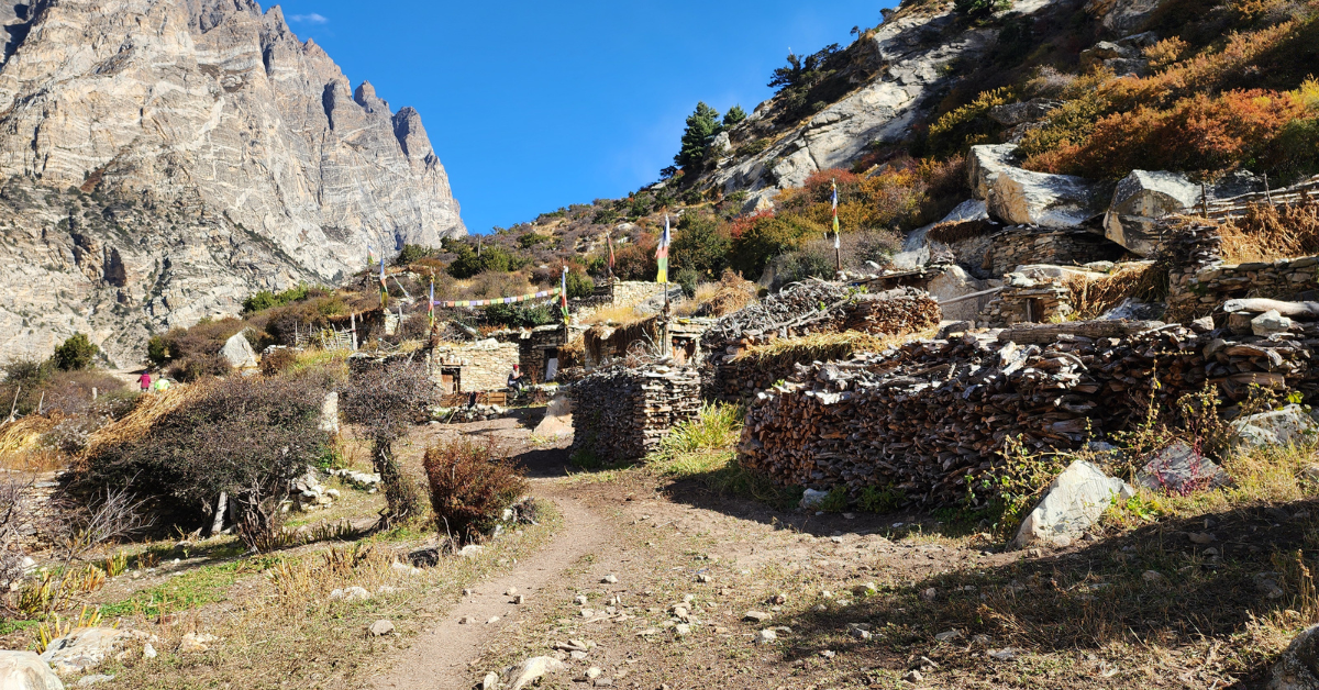 Nar phu valley trek 